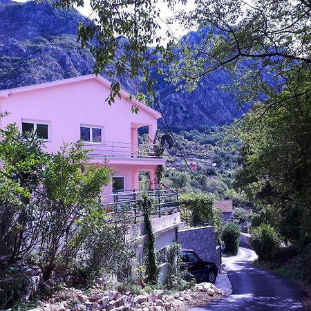 Ecohouse Risan Studio מראה חיצוני תמונה