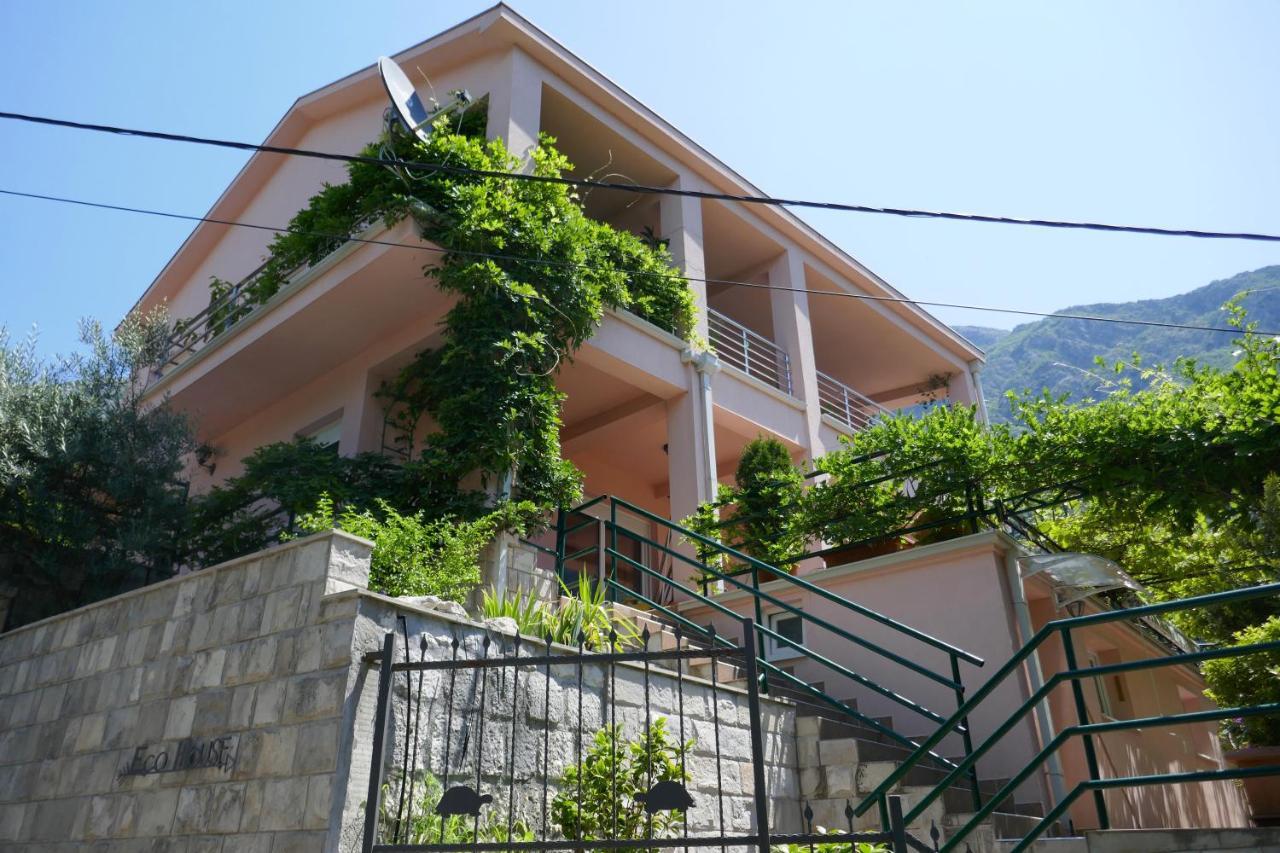 Ecohouse Risan Studio מראה חיצוני תמונה