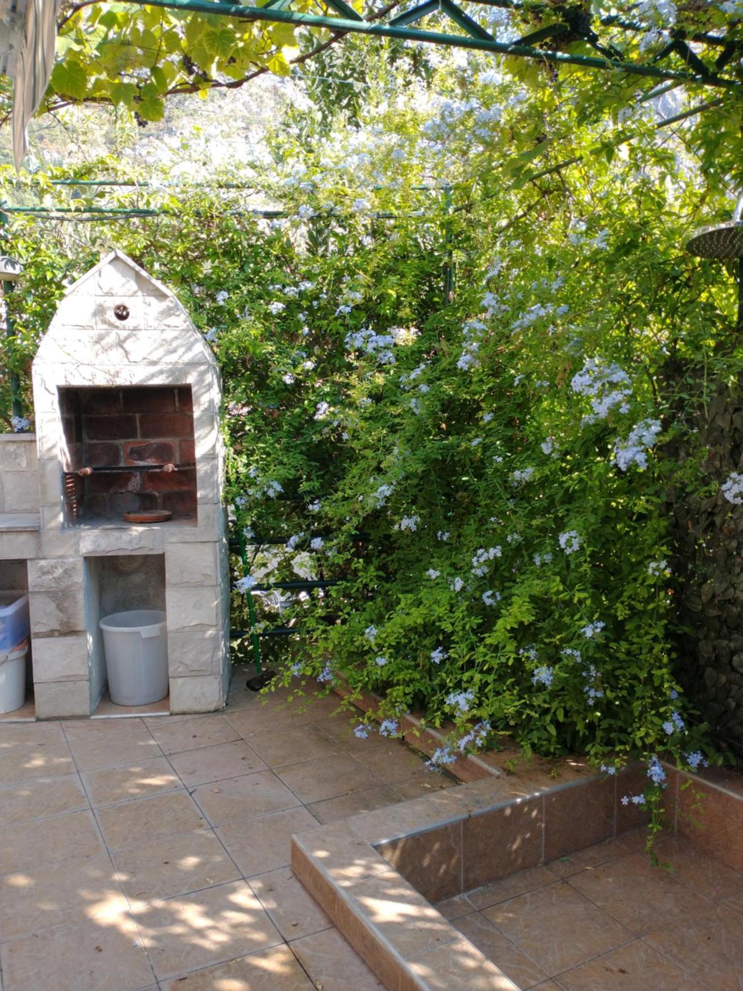 Ecohouse Risan Studio מראה חיצוני תמונה
