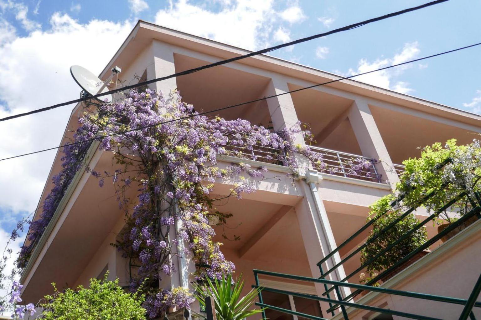 Ecohouse Risan Studio מראה חיצוני תמונה
