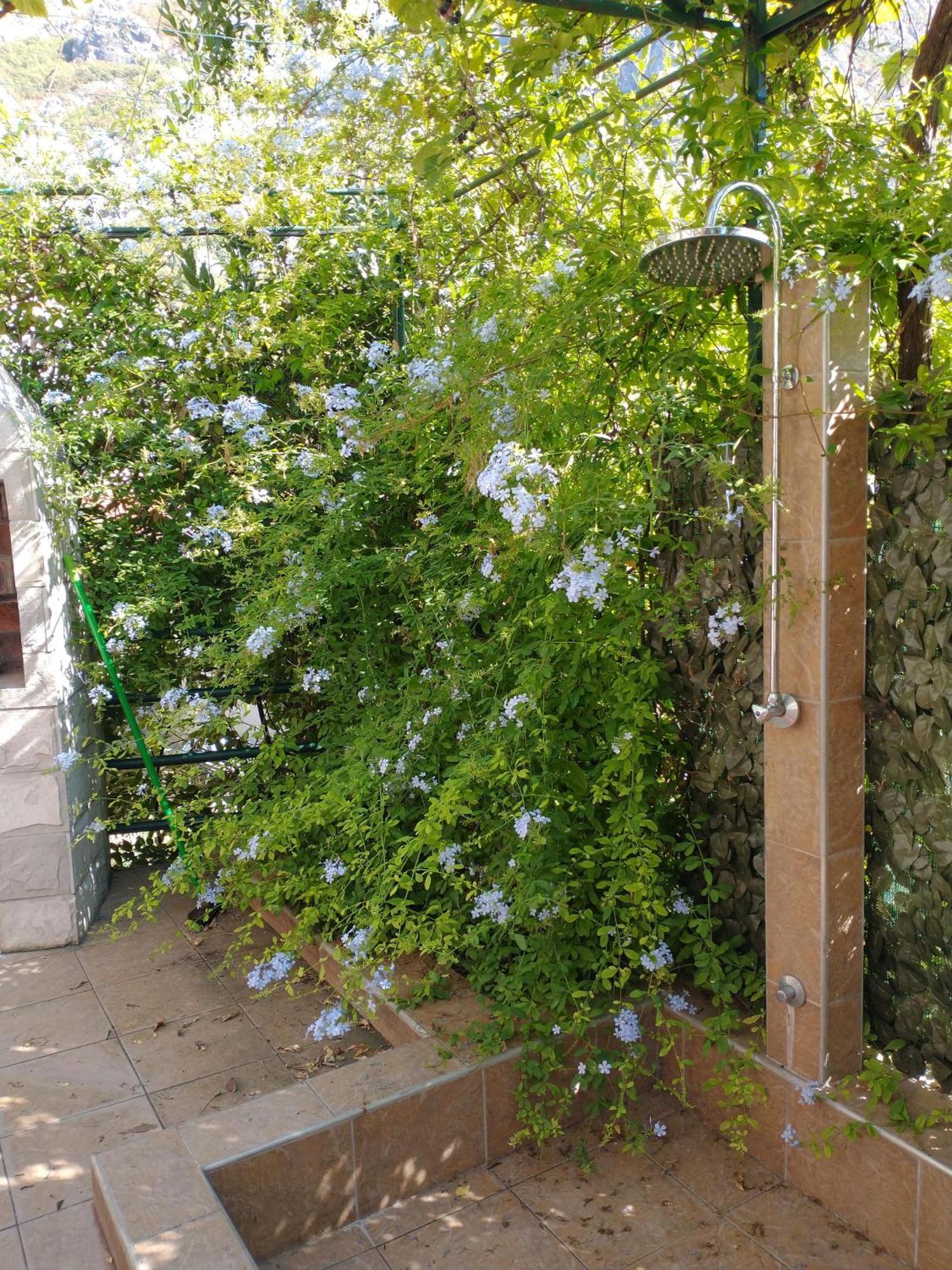 Ecohouse Risan Studio מראה חיצוני תמונה