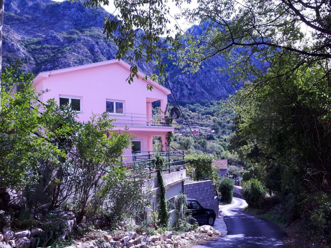 Ecohouse Risan Studio מראה חיצוני תמונה